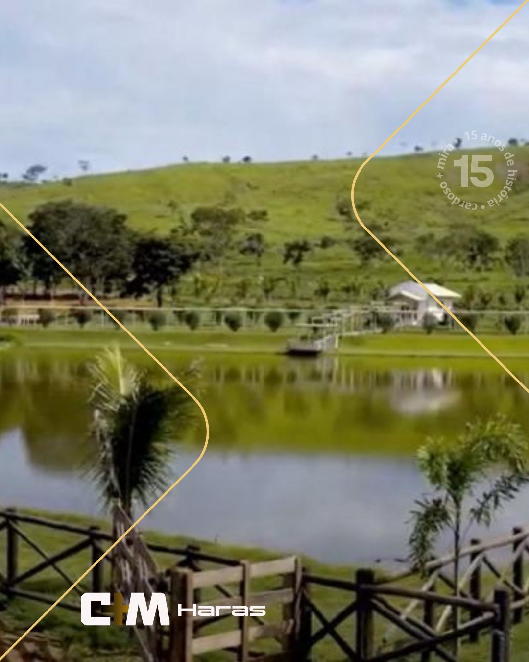 C+M Haras — vista 1