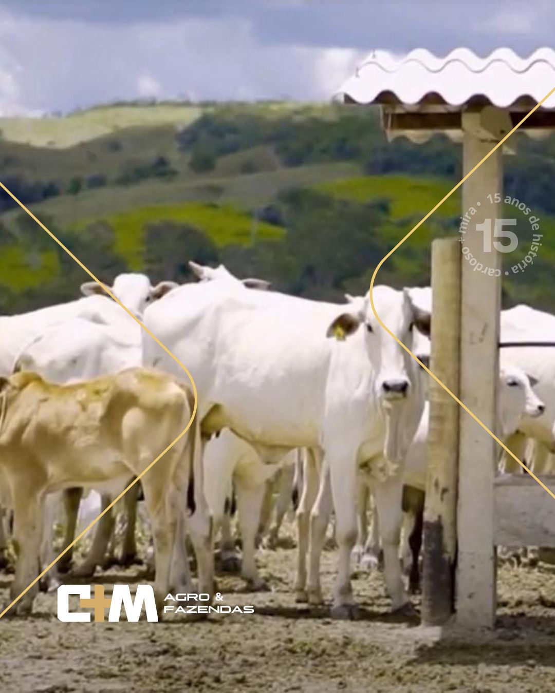 Fazenda Sol Nascente – vista geral